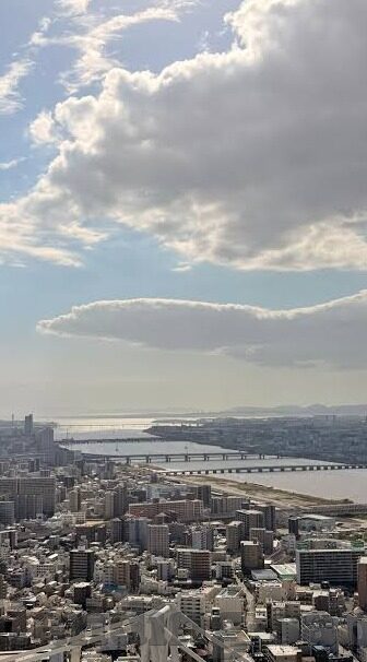 中国队世界杯比赛比分-中国队世界杯比赛比分，历史与未来的交织