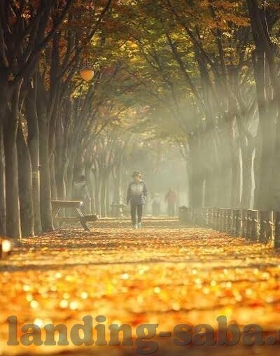 足球比分的质量-足球比分的质量，精准、全面与深度的多维考量